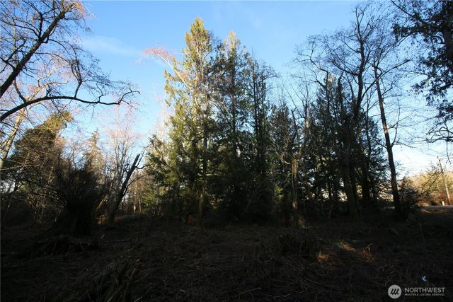 0 91st Ave SW, Vashon, WA 98070