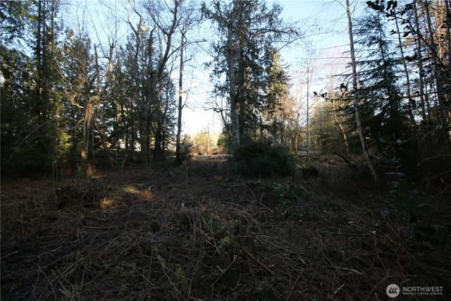 0 91st Ave SW, Vashon, WA 98070