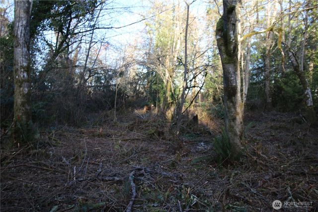0 91st Ave SW, Vashon, WA 98070