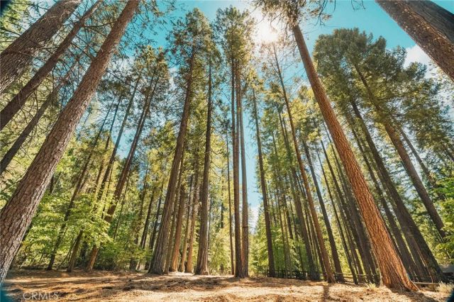 15371 Fairpag Drive, Magalia, CA 95954