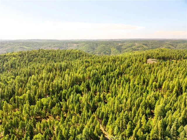 15371 Fairpag Drive, Magalia, CA 95954