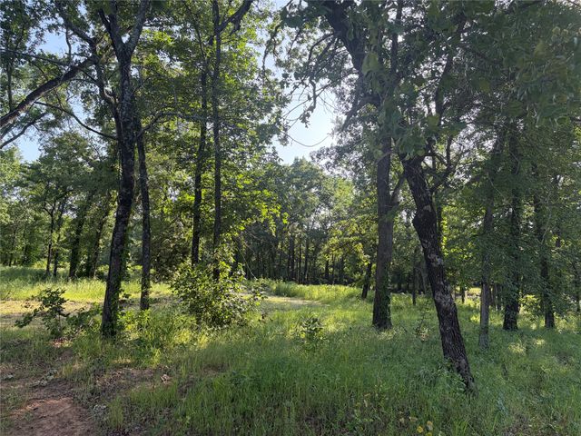TBD Oak Creek Drive, Gordonville, TX 76245