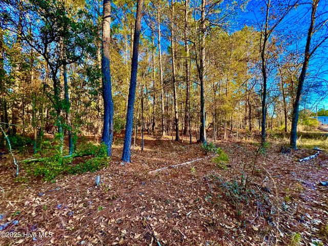 20689 Us Highway 17, Hampstead, NC 28443