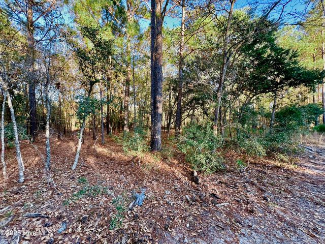 20689 Us Highway 17, Hampstead, NC 28443