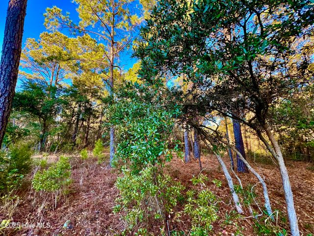 20689 Us Highway 17, Hampstead, NC 28443