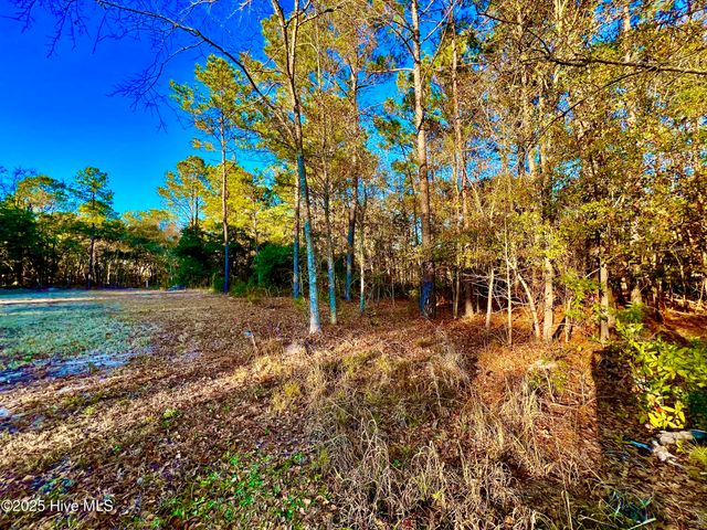 20689 Us Highway 17, Hampstead, NC 28443