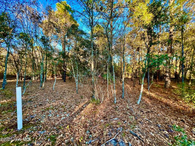 20689 Us Highway 17, Hampstead, NC 28443