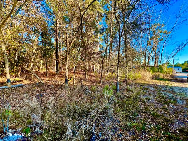 20689 Us Highway 17, Hampstead, NC 28443