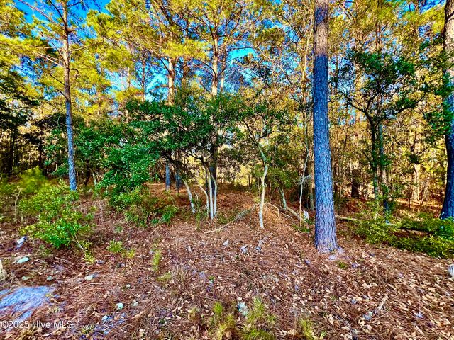 20689 Us Highway 17, Hampstead, NC 28443