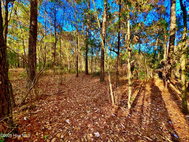 20689 Us Highway 17, Hampstead, NC 28443