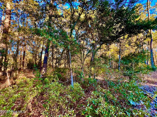 20689 Us Highway 17, Hampstead, NC 28443