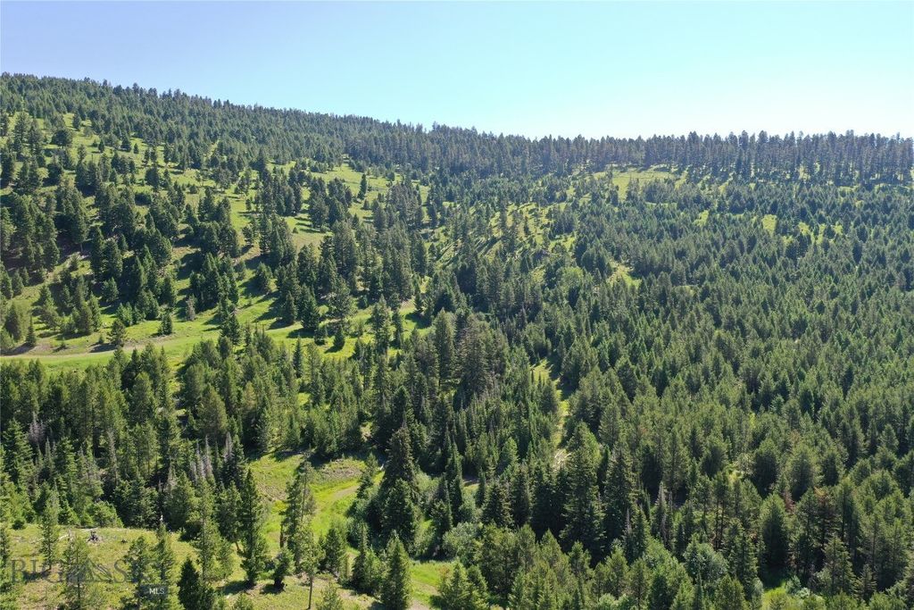 4,5,6,7 Garnet Range, Drummond, MT 59832 photo 11