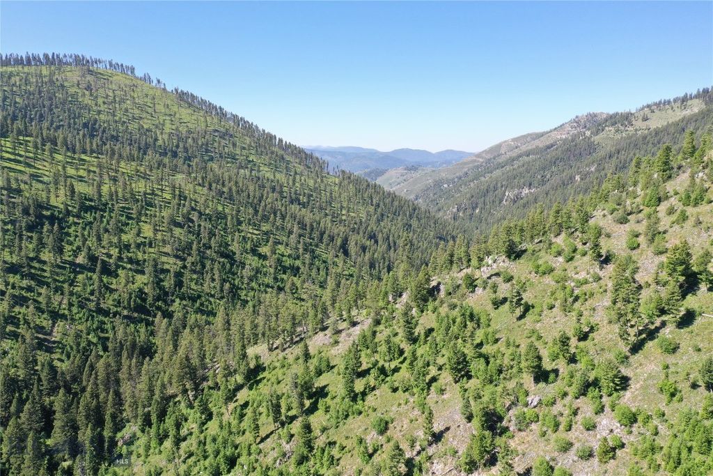 4,5,6,7 Garnet Range, Drummond, MT 59832 photo 5