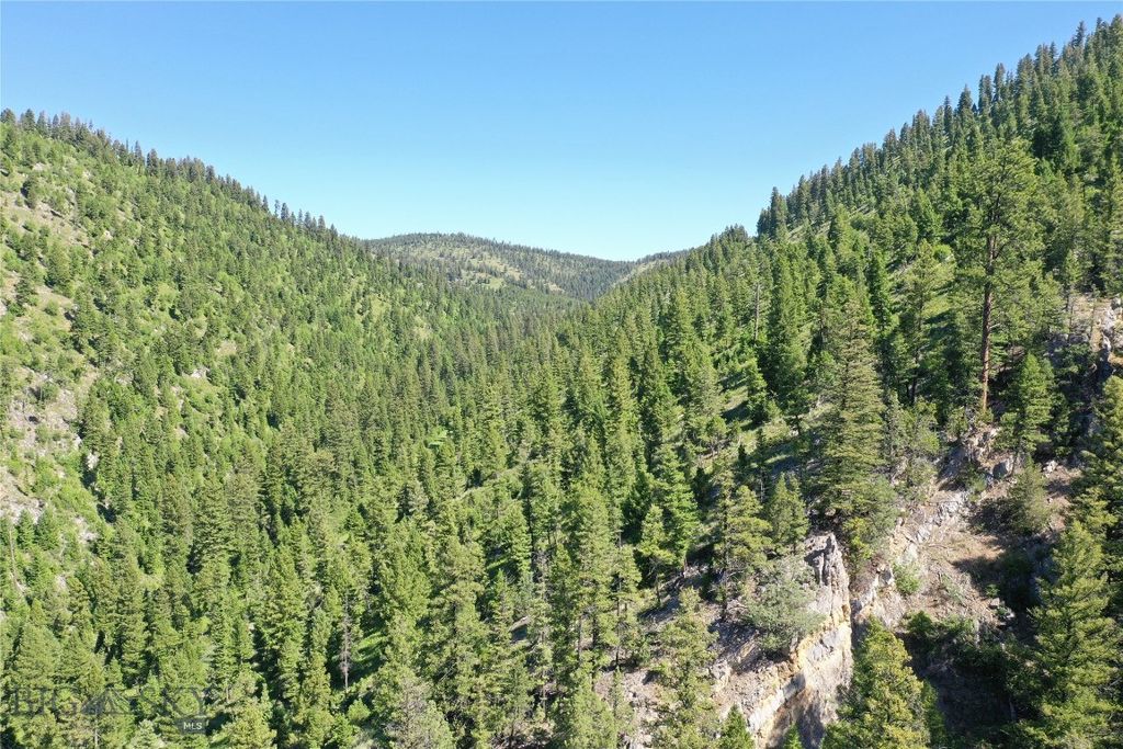 4,5,6,7 Garnet Range, Drummond, MT 59832 photo 8