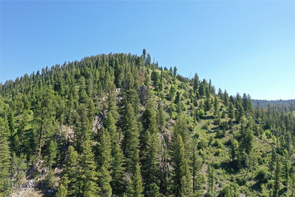 4,5,6,7 Garnet Range, Drummond, MT 59832 photo 9