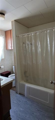 205 Clarke Street, Union City, MI 49094