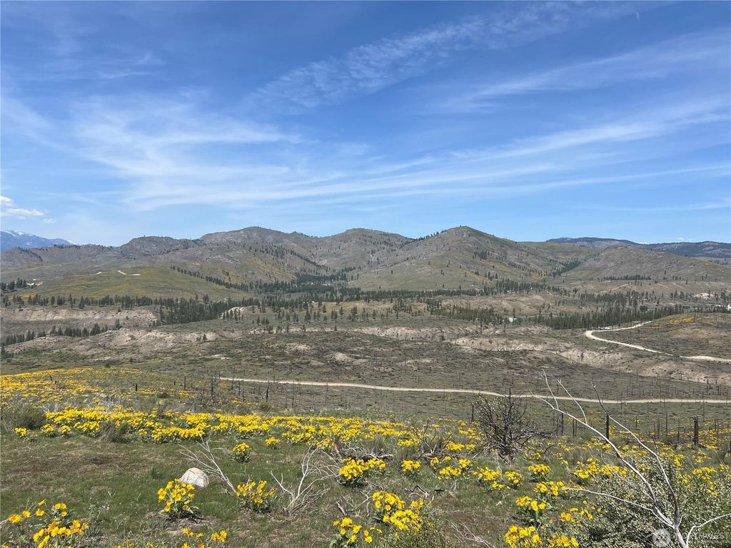 Lot 4 High Ranch Rd, Other, WA 98834 photo 2