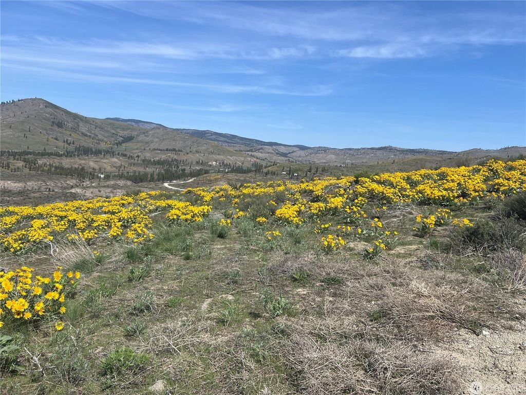 Lot 4 High Ranch Rd, Other, WA 98834 photo 4