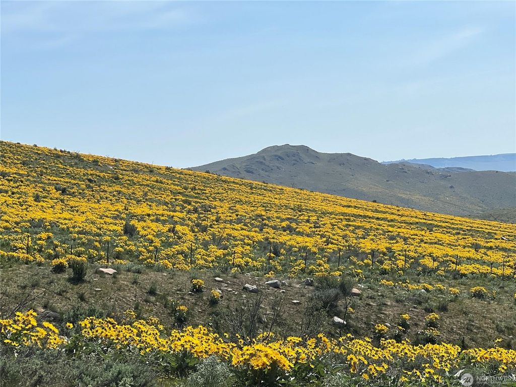 Lot 4 High Ranch Rd, Other, WA 98834 photo 6