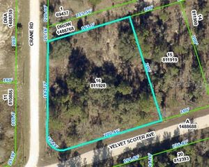 0 VELVET SCOTER AVE, Brooksville, FL 34614