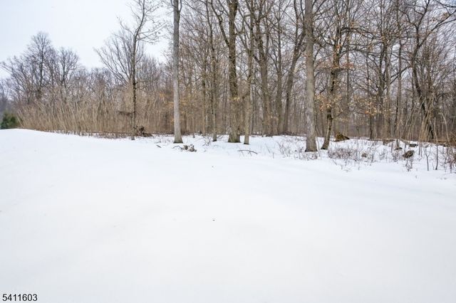 11 Concord Ct, Warren Twp., NJ 07059