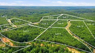 0 Pin Oak Ct, Waverly, TN 37185