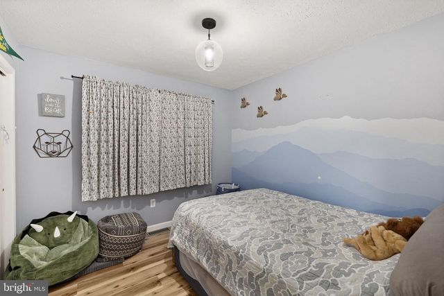 161 PERSIMMON, Madison, VA 22727