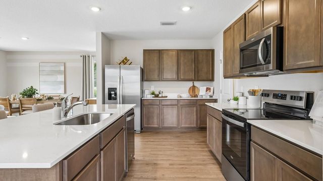17972 ACORN DROP ROAD, Land O Lakes, FL 34638