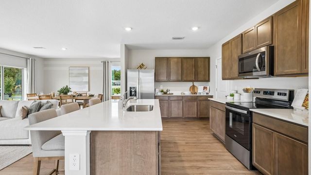 17972 ACORN DROP ROAD, Land O Lakes, FL 34638