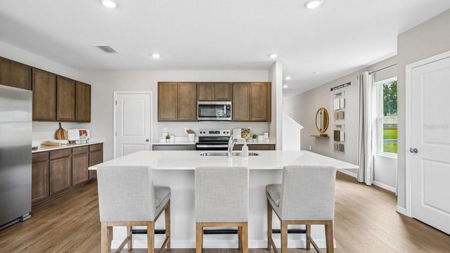 17972 ACORN DROP ROAD, Land O Lakes, FL 34638