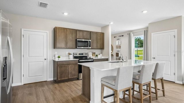 17972 ACORN DROP ROAD, Land O Lakes, FL 34638