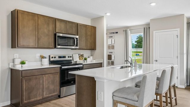 17972 ACORN DROP ROAD, Land O Lakes, FL 34638