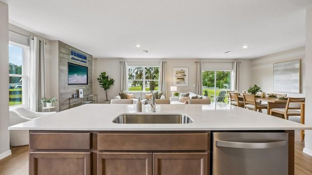 17972 ACORN DROP ROAD, Land O Lakes, FL 34638