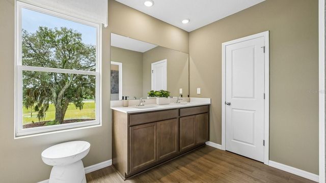 17972 ACORN DROP ROAD, Land O Lakes, FL 34638