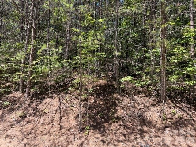 00 Sundance Drive 5-IV, Nebo, NC 28761