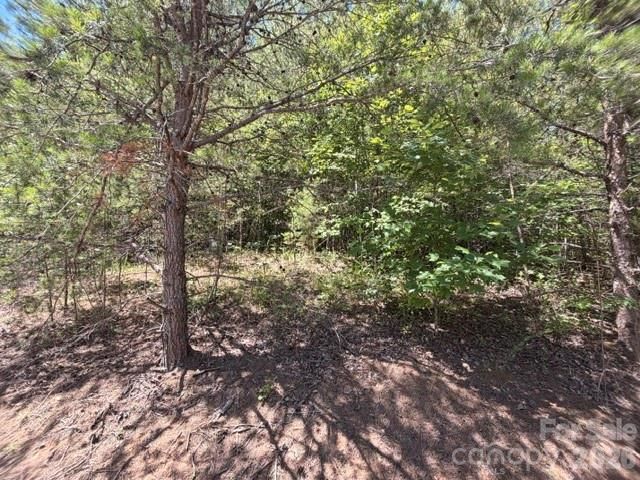 00 Sundance Drive 5-IV, Nebo, NC 28761