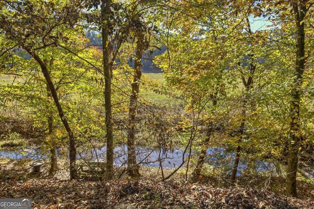 715 E Cochran Road SE, Ranger, GA 30734