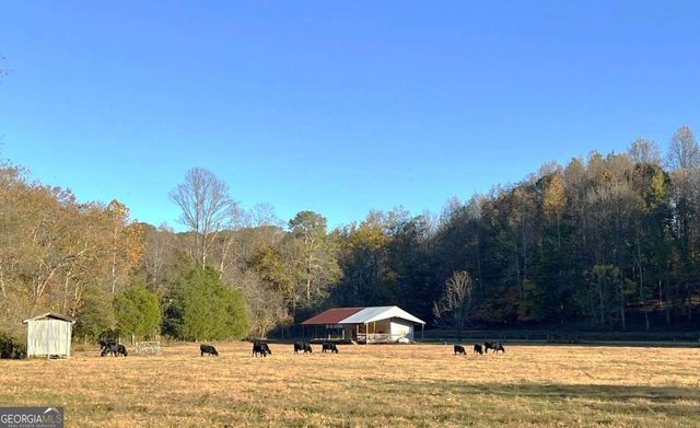 715 E Cochran Road SE, Ranger, GA 30734