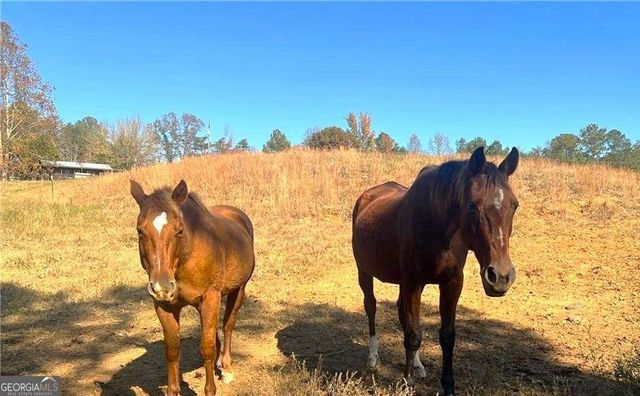 715 E Cochran Road SE, Ranger, GA 30734