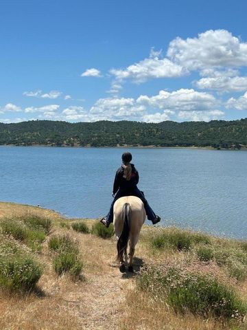 3485 Stable Lane, Santa Cruz, CA 95065