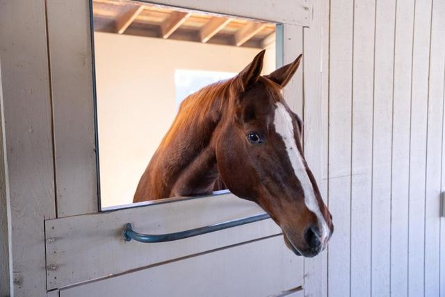 3485 Stable Lane, Santa Cruz, CA 95065