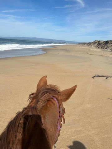 3485 Stable Lane, Santa Cruz, CA 95065