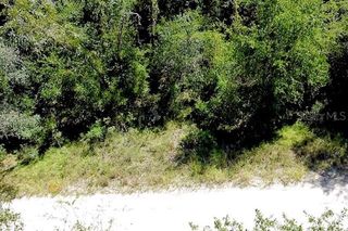 0 NE 138TH TERRACE, Williston, FL 32696