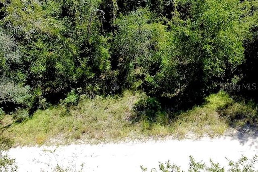 0 NE 138TH TERRACE, Williston, FL 32696
