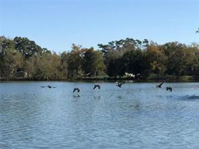 111 County Road 1333, Liberty, TX 77575