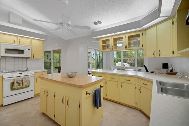 335 RIVER GLASS COURT, Leesburg, FL 34788