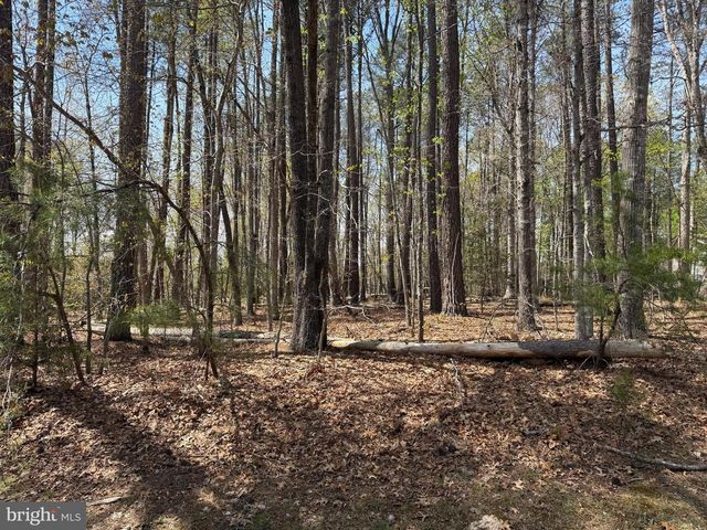 WINDWOOD COVES BLVD, Mineral, VA 23117