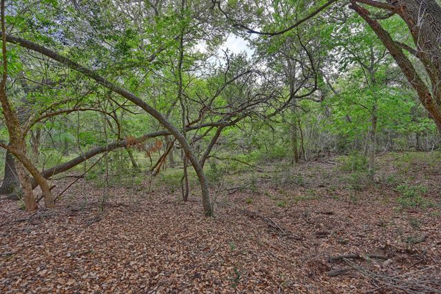 0000 Mcelroy Lane, New Ulm, TX 78950