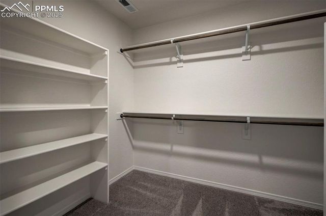 11056 Coastal Hills Lane, Falcon, CO 80831