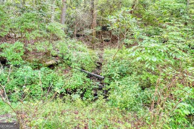 5127 Mineral Springs Road, Young Harris, GA 30582